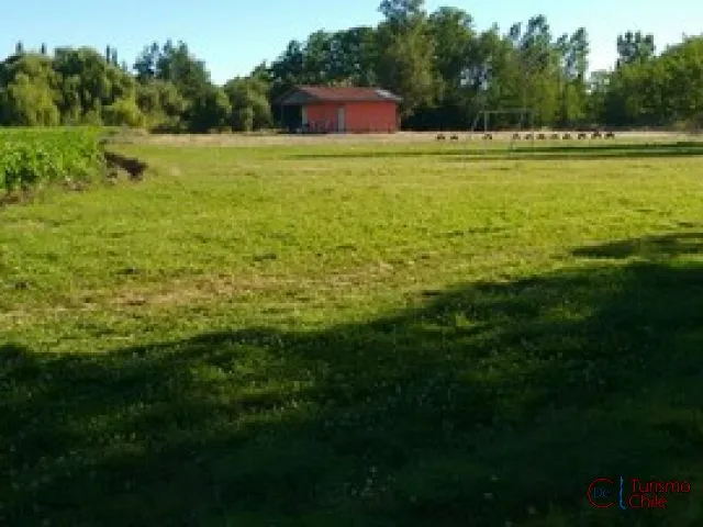 Pradera verde del camping